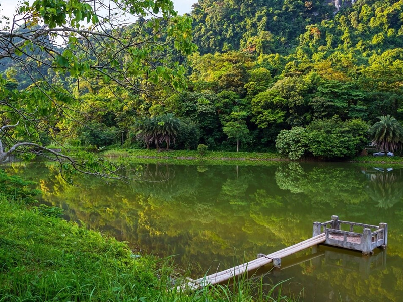 6 must do activities in Ninh Binh - Go for a hike in Cuc Phuong National Park