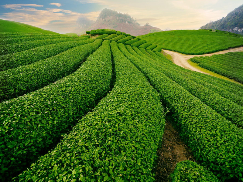 6 Vietnam Off-the-beaten-track Destinations: From North To South