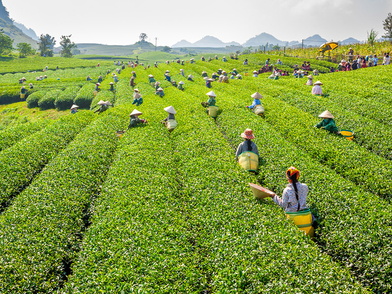 6 Vietnam Off-the-beaten-track Destinations: From North To South