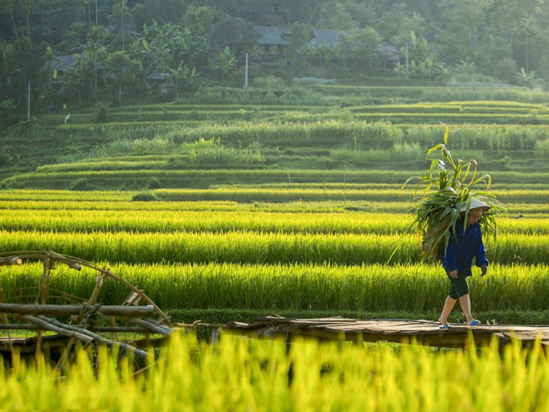 6 Vietnam Off-the-beaten-track Destinations: From North To South