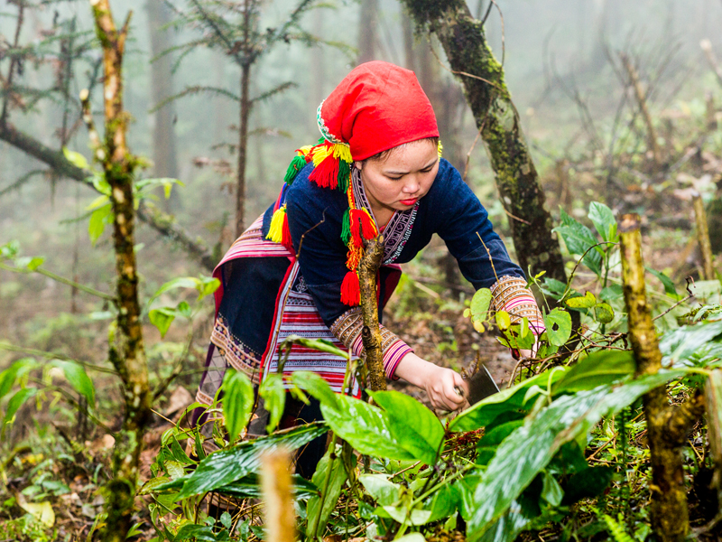Experience bathing with Dao Do herbal bath in Sapa