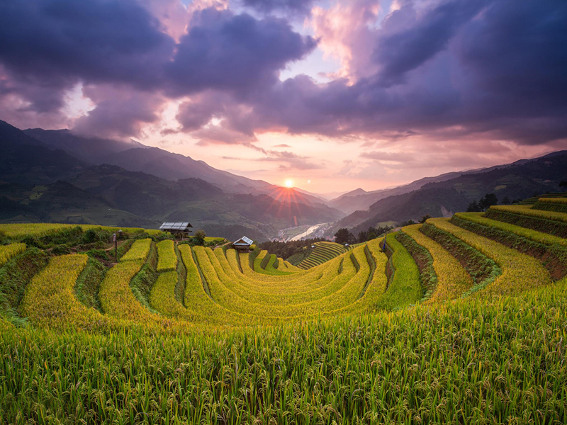 Mu Cang Chai's on top 50 most beautiful destinations in the world